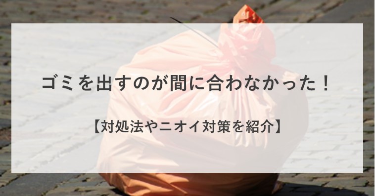 生ゴミを出すのが間に合わなかった時の対処法